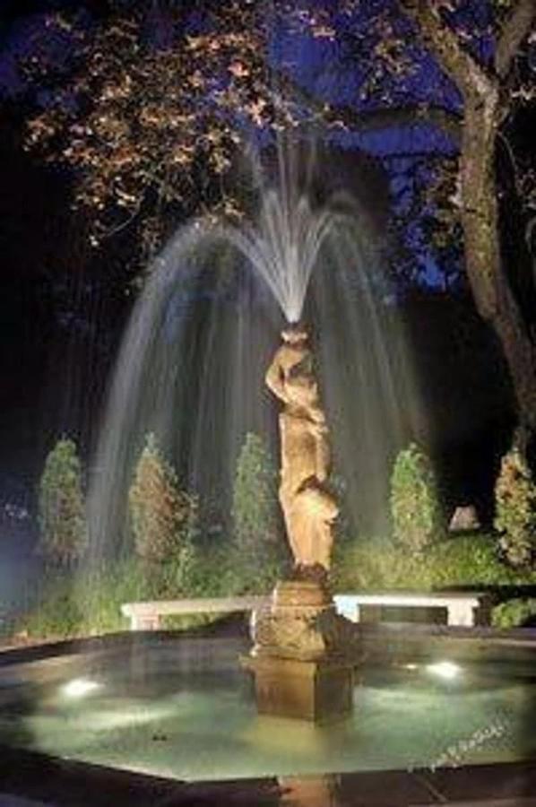 Bed and Breakfast Viilla Rezidence Bad Kudowa Exterior foto